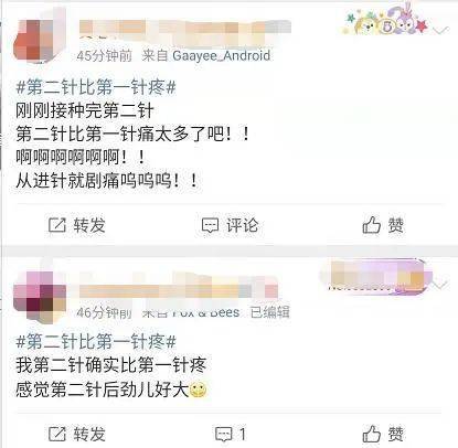 玉灵膏品牌深度解析，哪个牌子的正宗效果更佳？