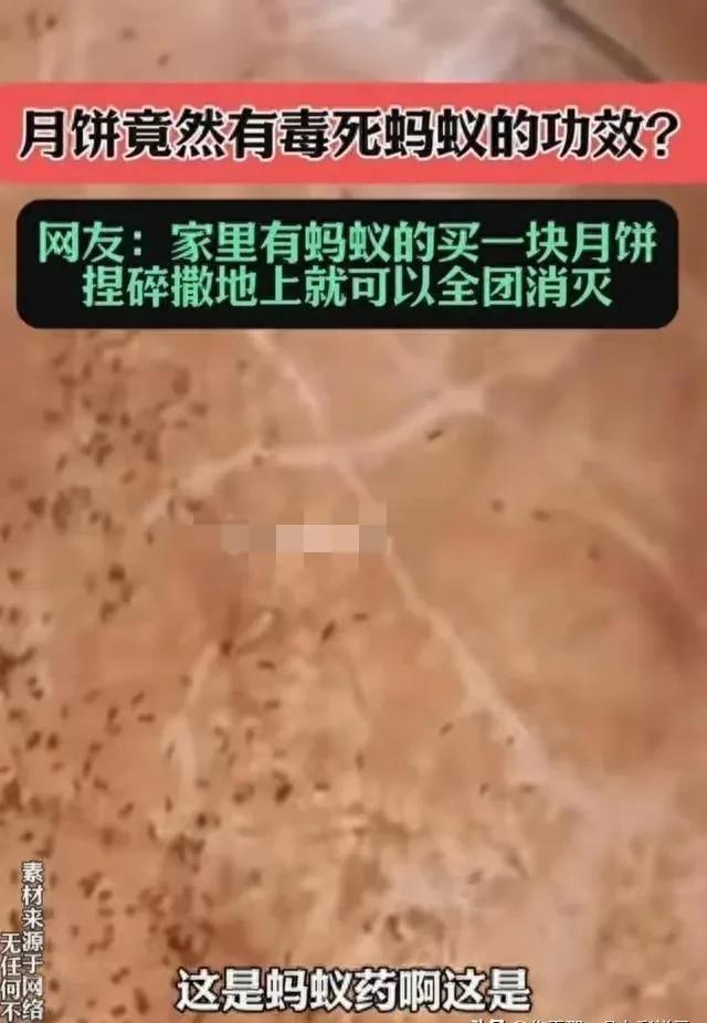 脱氢乙酸钠与双乙酸钠，物质特性与异同解析