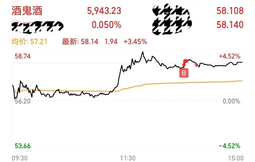 酒鬼酒股票最高价深度解析，市场因素与投资逻辑探究