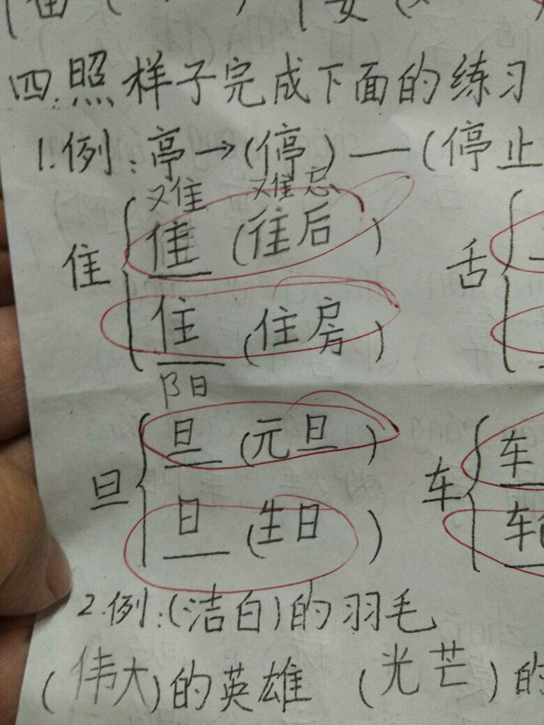 组词与部首的魅力探索