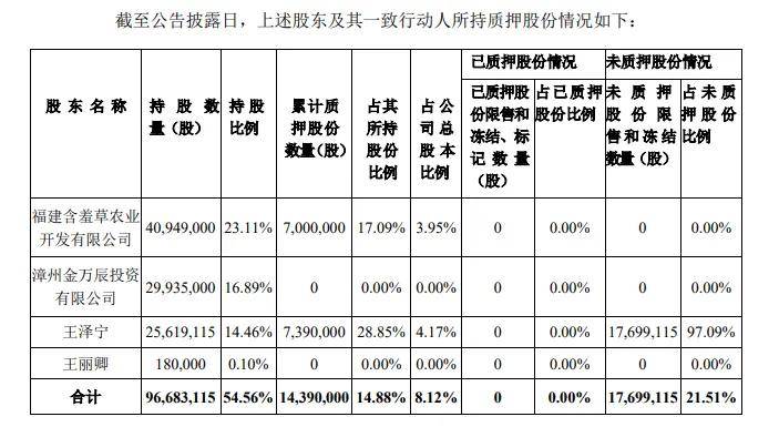 管家婆资料大全,稳定设计解析方案_OP85.739