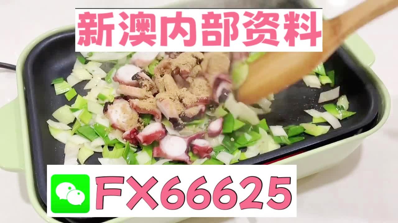 新澳精准内部码资料期期准,系统研究解释定义_策略版61.951