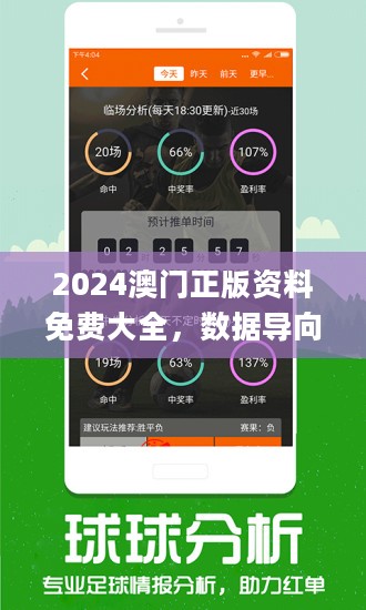 新澳2024今晚开奖资料四不像,重要性解释定义方法_SE版69.336