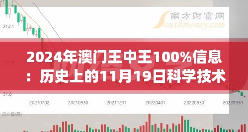 2024澳门王中王100%期期中,动态调整策略执行_精英版66.247