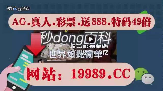 2024新澳门天天开奖攻略,实时解答解释定义_S27.69