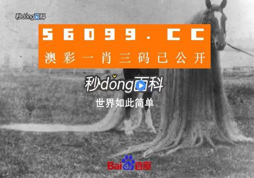 澳门一肖一码一必中一肖同舟前进,高速响应方案解析_SHD19.848