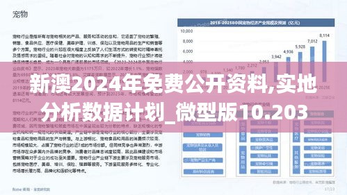 2024新澳最精准资料,稳定性策略设计_储蓄版43.935