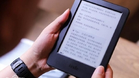 2024新奥开奖结果查询,高效性实施计划解析_Kindle31.488