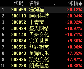 最准一码一肖100%凤凰网,实践解答解释定义_超级版51.48