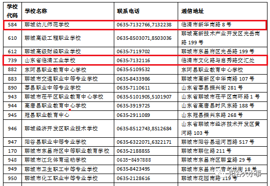 2024澳门精准正版免费,调整细节执行方案_D版95.157