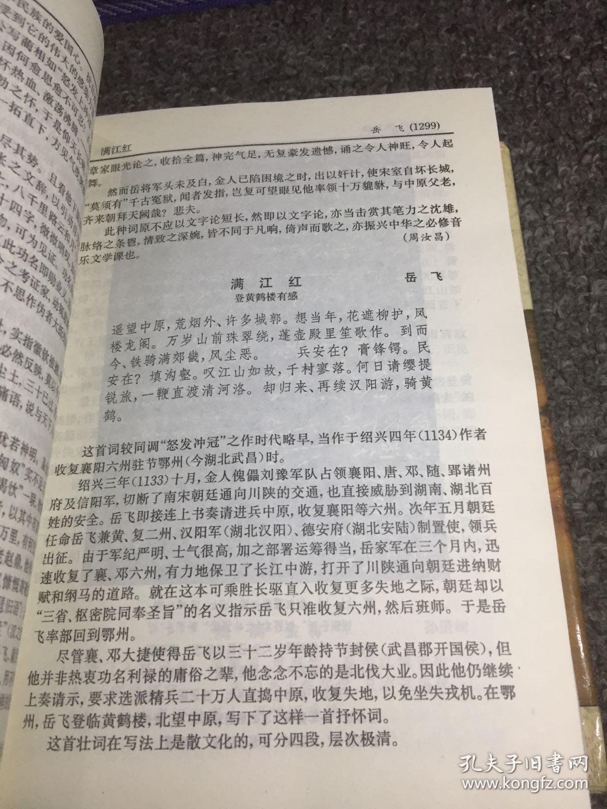 唐宋词鉴赏辞典PDF免费下载，探寻古典文学宝藏之旅