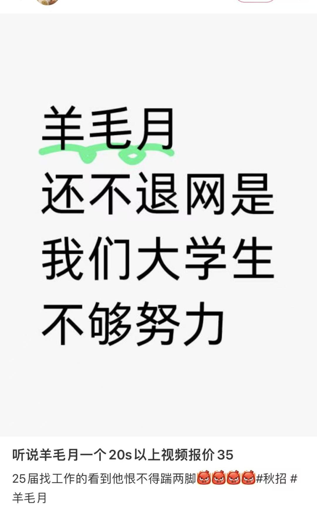 网红羊毛月被禁止关注