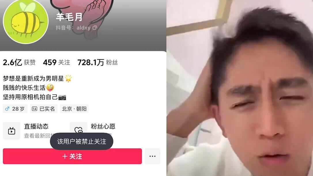 羊毛月账号被禁止关注事件探讨