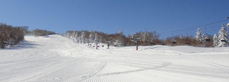 中国游客在日本滑雪场意外身亡