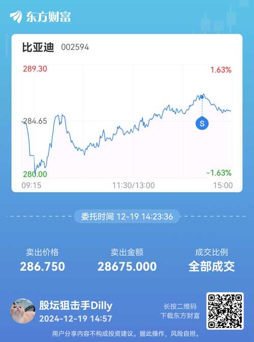 比亚迪A股投资价值深度解析