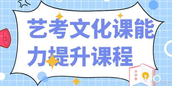 成学文化教育深度探讨与全面评价，优劣分析及其影响