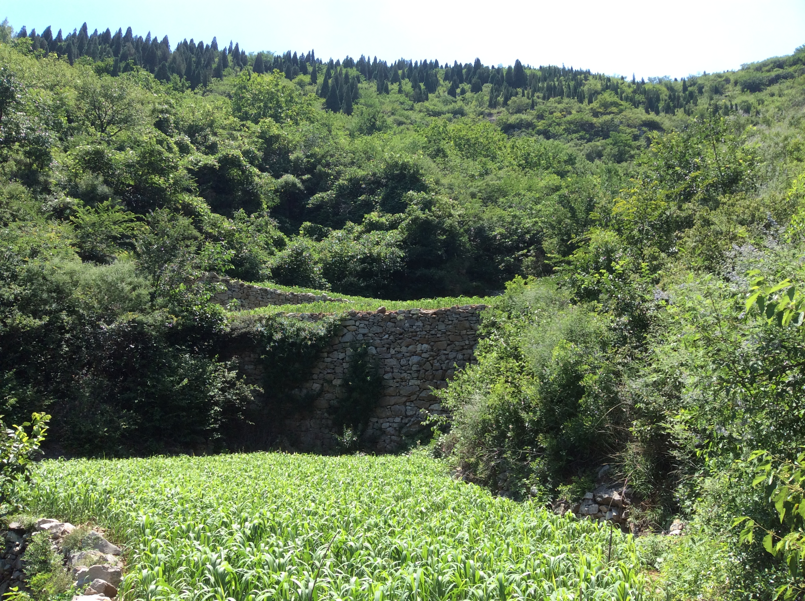 济南彩石讲书院村，历史与现代交融的文化胜地