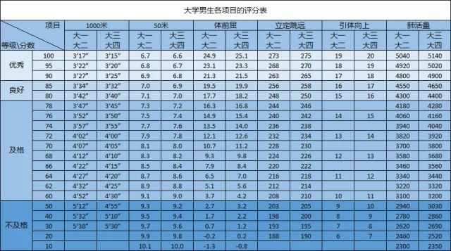 大学生体测标准评分表，塑造健康校园的新标杆