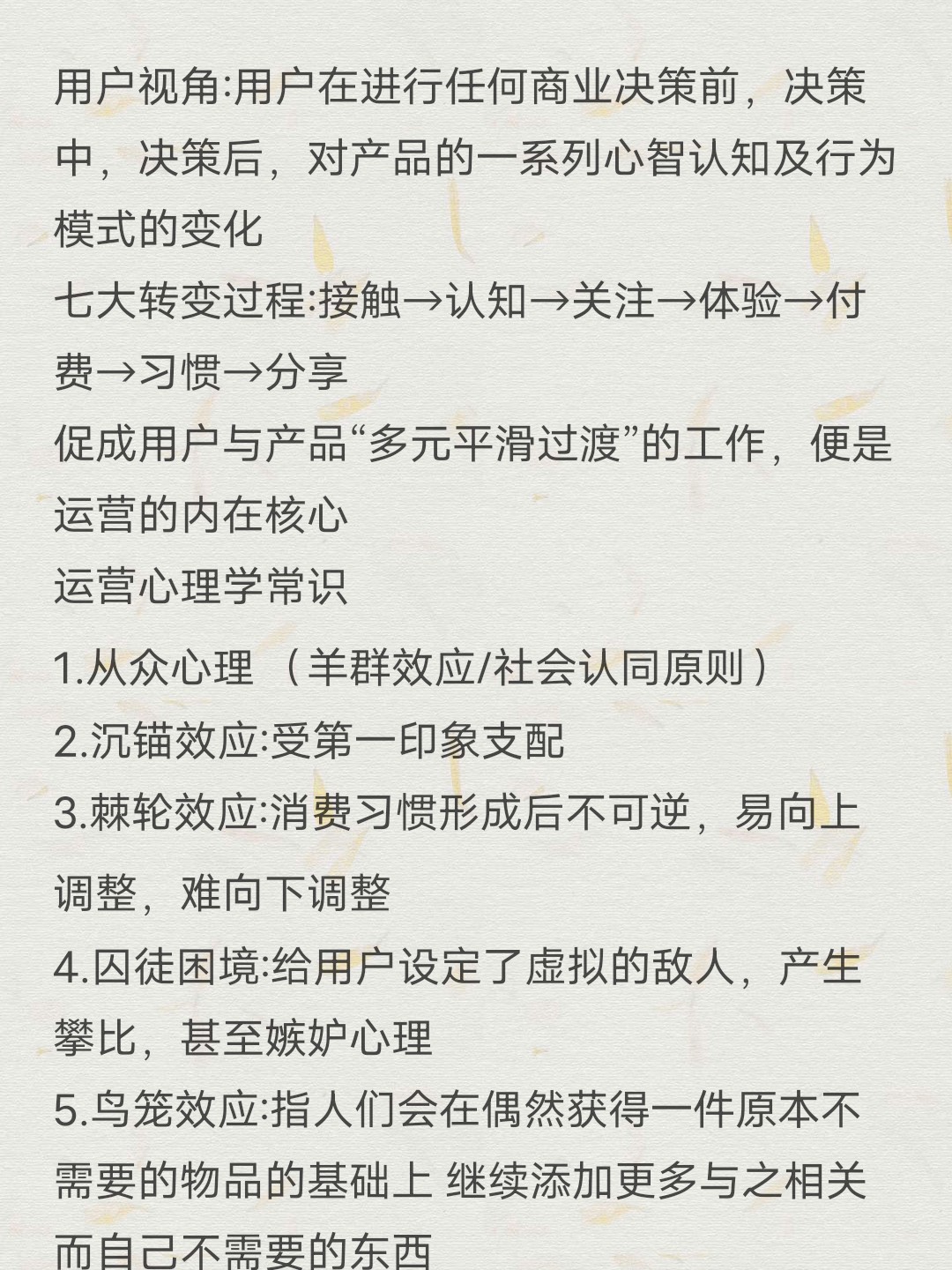 深入探索用户需求与体验世界，理解用户心得体会之旅