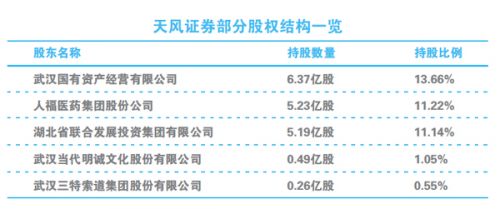 天风证券股票，市场趋势下的机遇与挑战解析