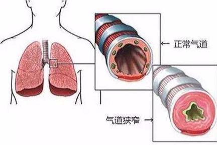 书院活动 第33页