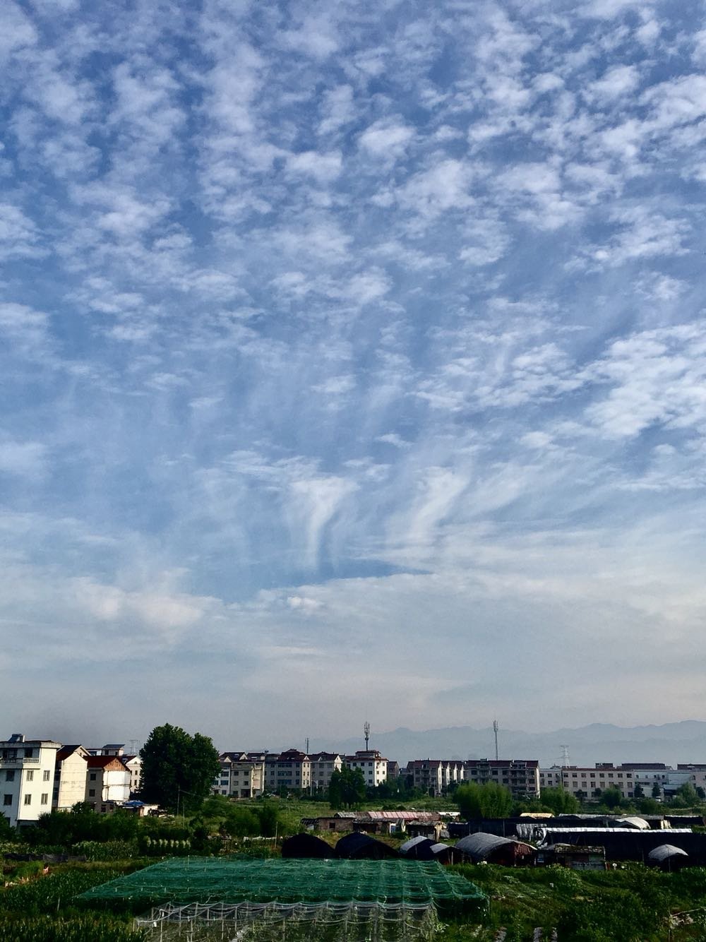 东阳未来7天天气预报，气象预测与日常生活的紧密关联