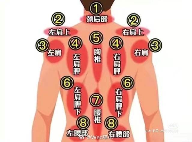 左后背疼痛详解，位置图示与疼痛成因探究