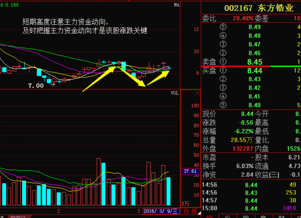 东方锆业引领锆产业塑造未来，核心业务的探索与发展