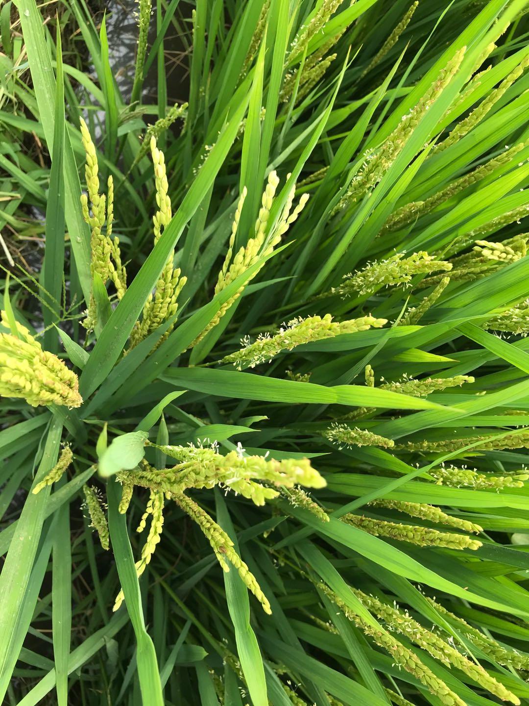 海城天气预报，今日天气及未来趋势预测