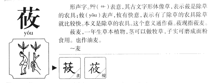 筱字的读音探寻，汉字之奥妙