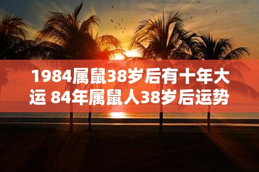 84年属鼠人未来十年命运展望，41岁后的黄金十年？