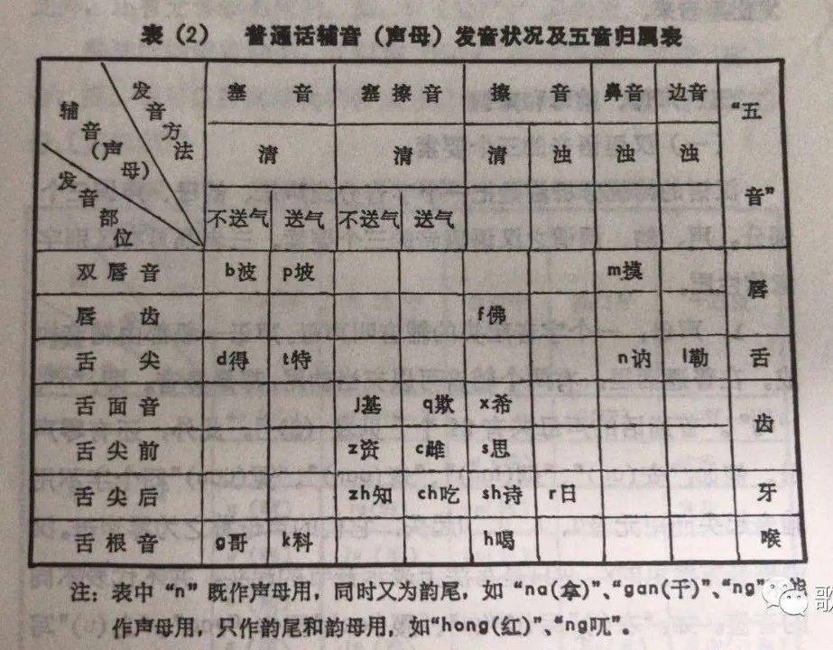 五音读音与音乐中的重要性解析