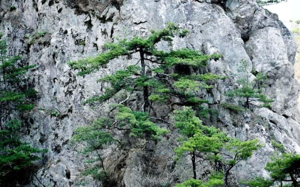 老君山旅游攻略，便捷到达指南