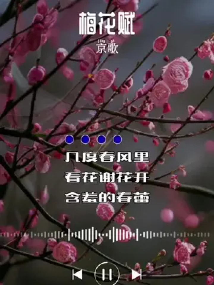 古典与现代交响之美，梅花赋音乐之旅