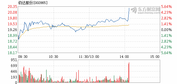 钧达股份，业务领域深度解析与发展路径探索