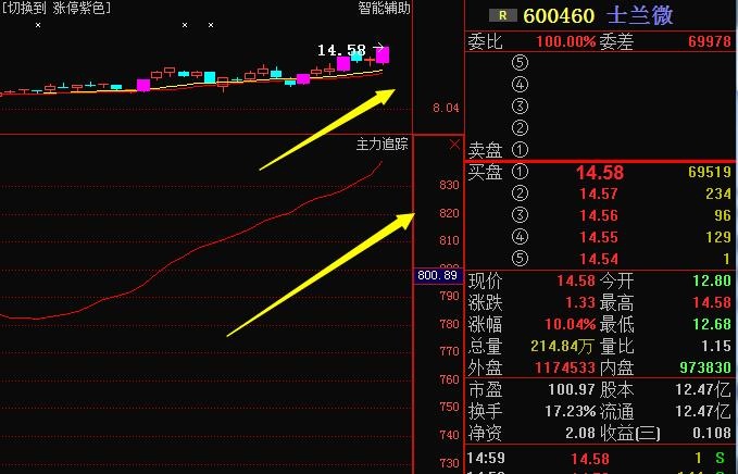 士兰微引领芯片潮流，塑造未来产业格局