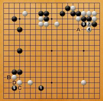 新浪围棋，最新棋讯速递