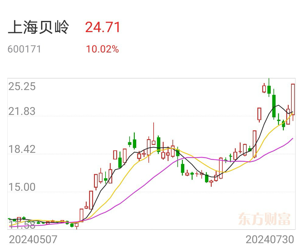 上海贝岭股票投资潜力与市场前景深度解析